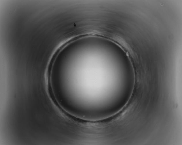 X0000094921032200712061105