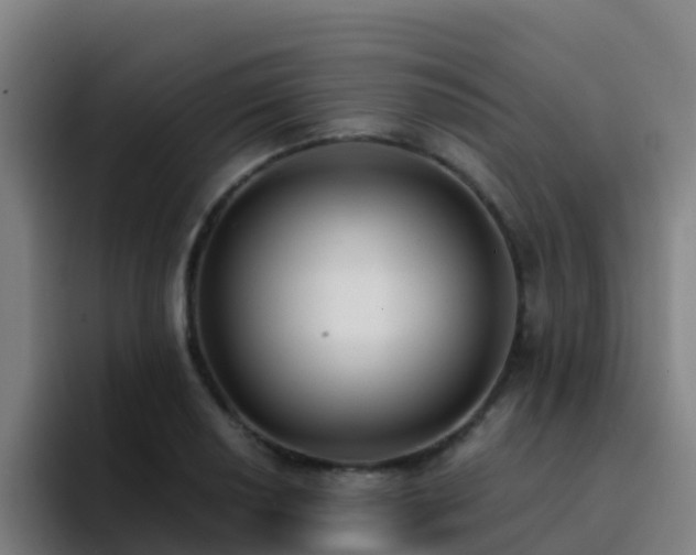 X0000094921034200712061105