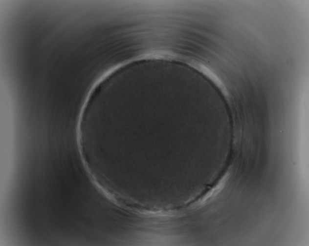 X0000094921037200712061105