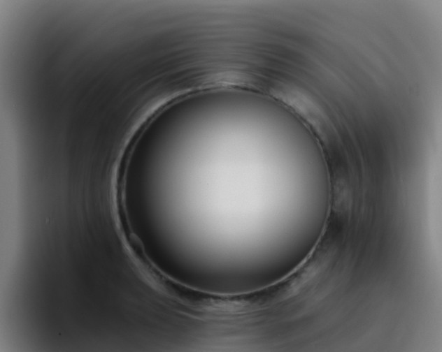 X0000094921039200712061105