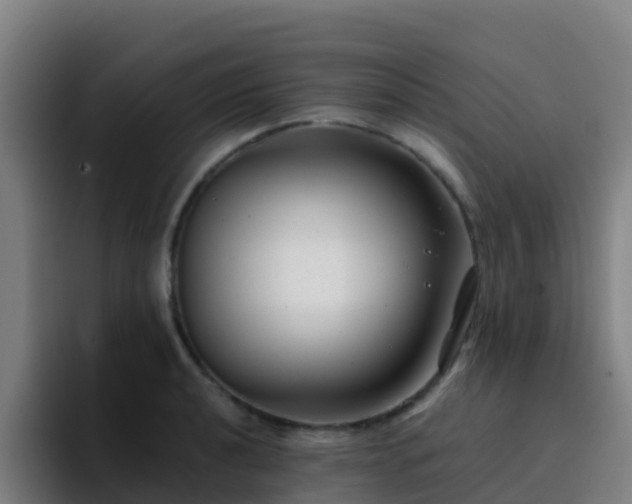 X0000094921040200712061105