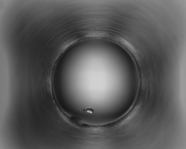 X0000094921041200712061105