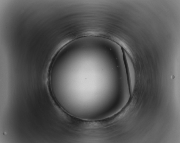 X0000094921042200712061105