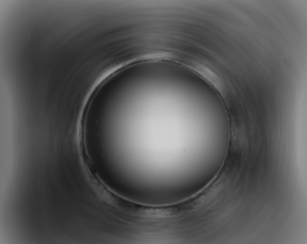 X0000094921044200712061105