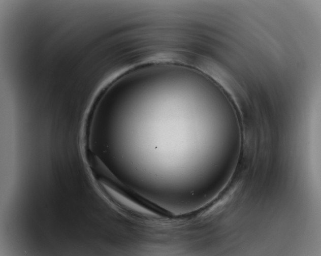 X0000094921045200712061105