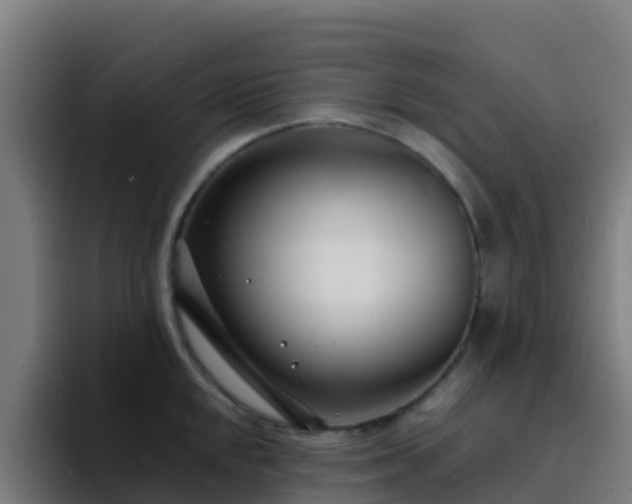 X0000094921048200712061105