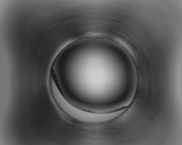 X0000094921050200712061105