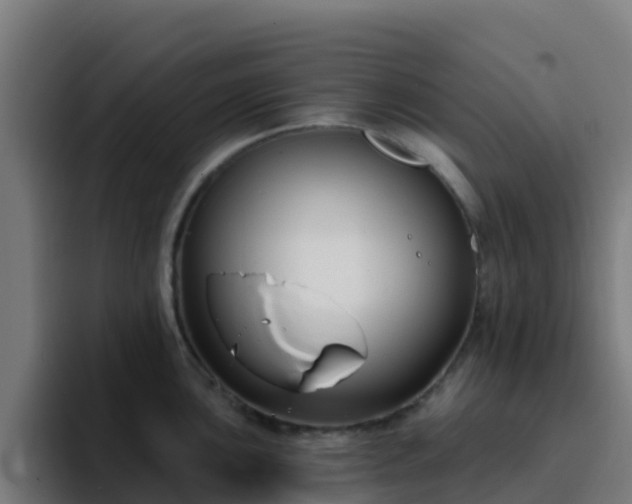 X0000094921051200712061105