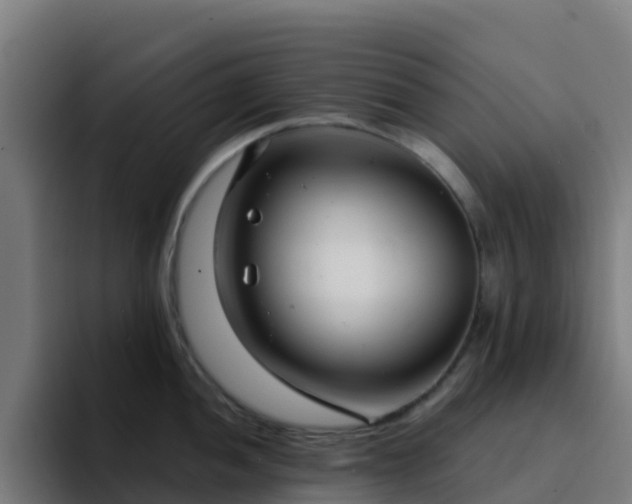 X0000094921052200712061105