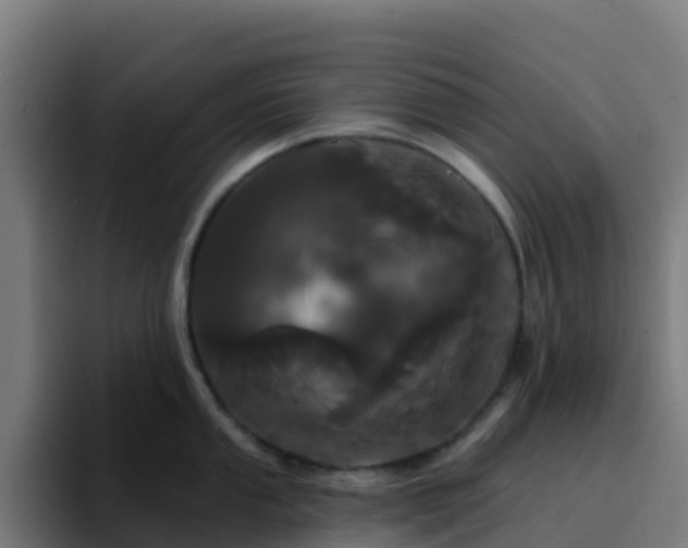 X0000094921053200712061105