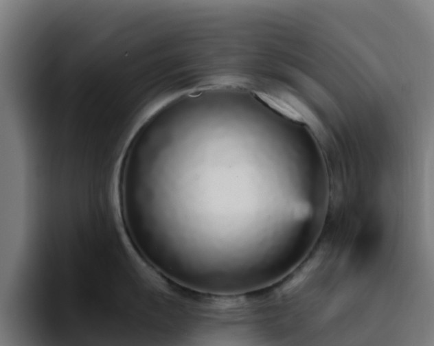 X0000094921055200712061105