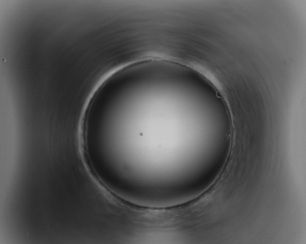 X0000094921056200712061105