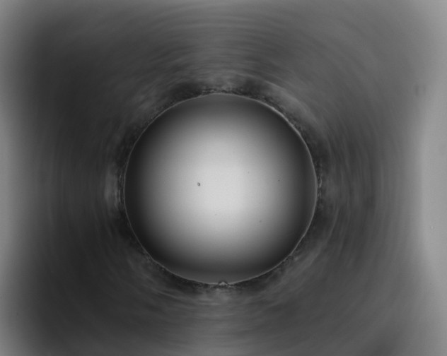 X0000094921058200712061104