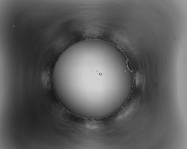 X0000094921059200712061104