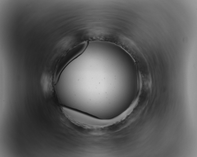 X0000094921060200712061104