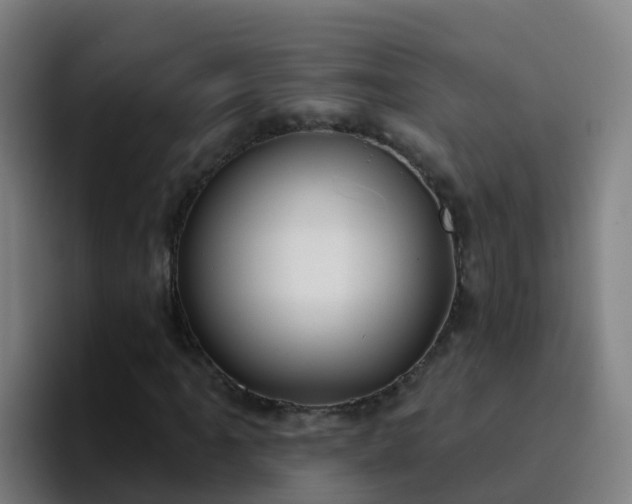 X0000094921061200712061104