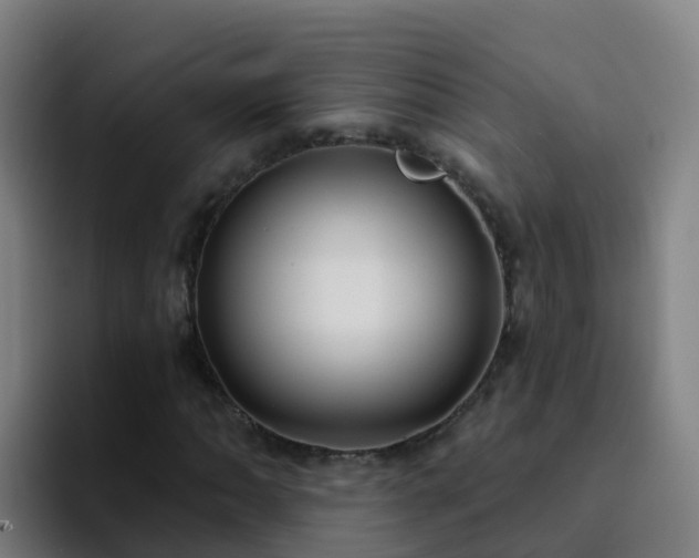 X0000094921062200712061104