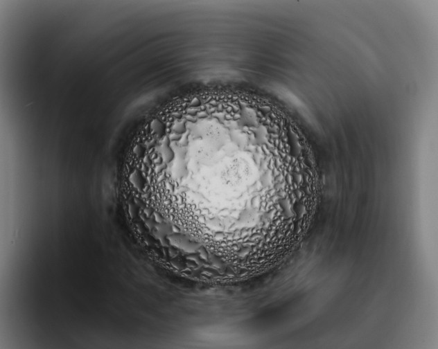 X0000094921063200712061104