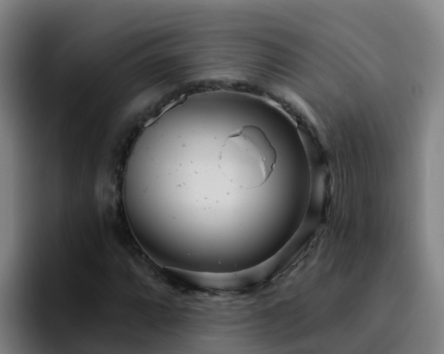 X0000094921064200712061104