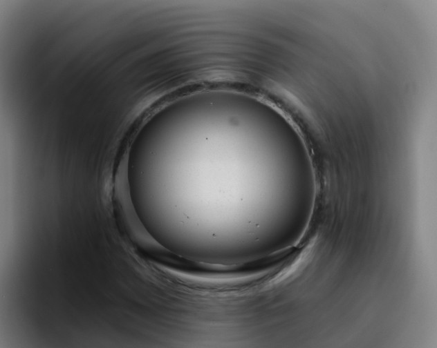 X0000094921065200712061104