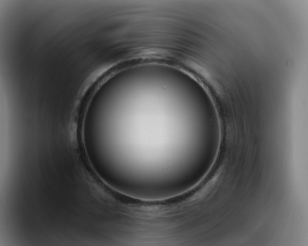 X0000094921066200712061104