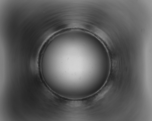 X0000094921068200712061104