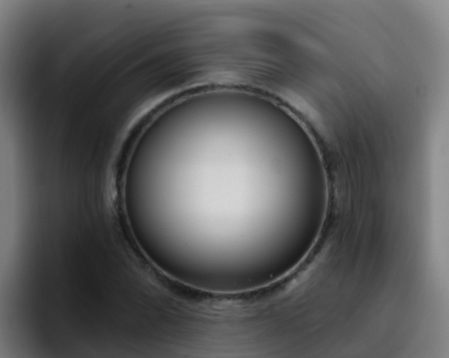 X0000094921070200712061104