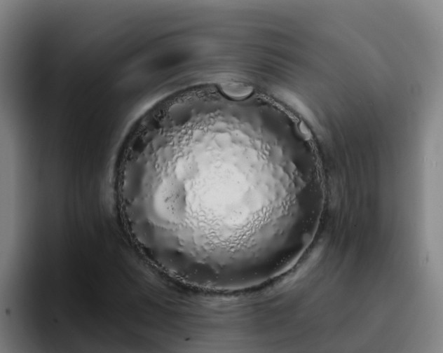 X0000094921071200712061104