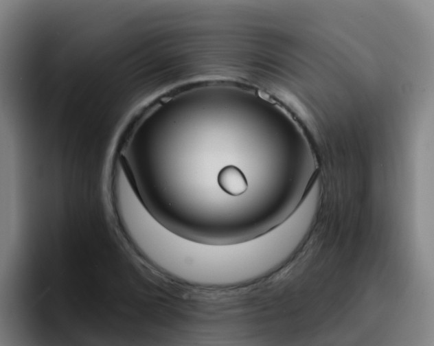 X0000094921072200712061104