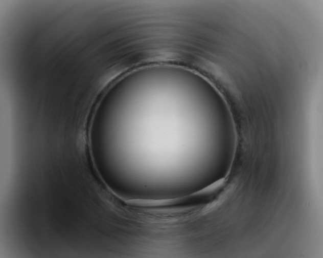 X0000094921073200712061104