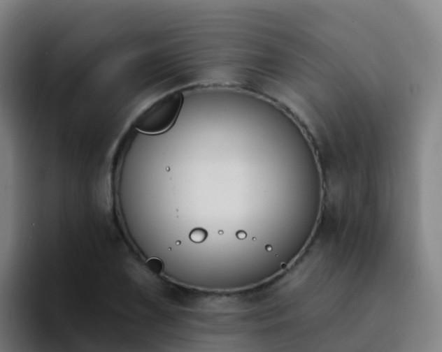 X0000094921075200712061104