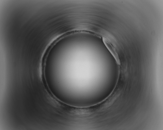 X0000094921076200712061104