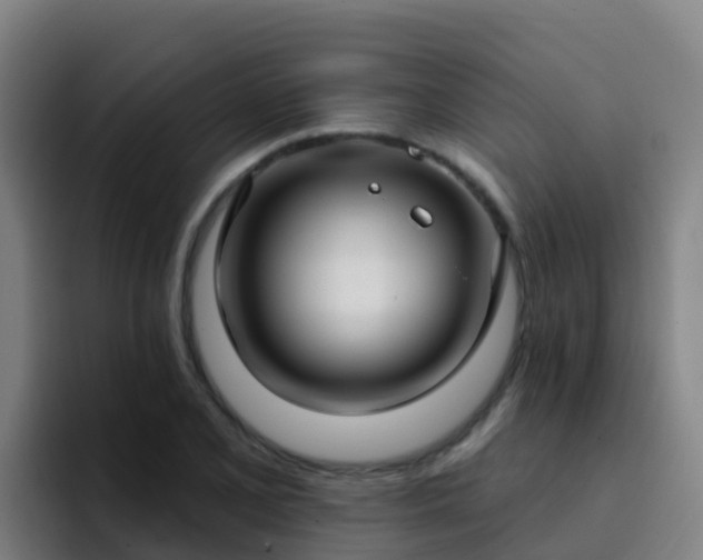 X0000094921077200712061104