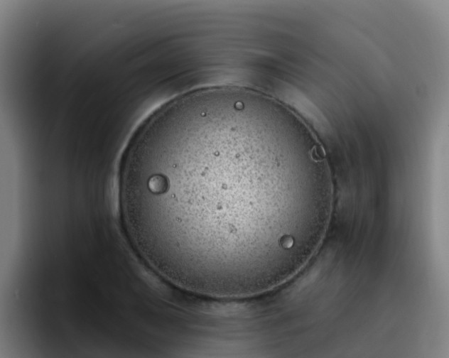 X0000094921079200712061104