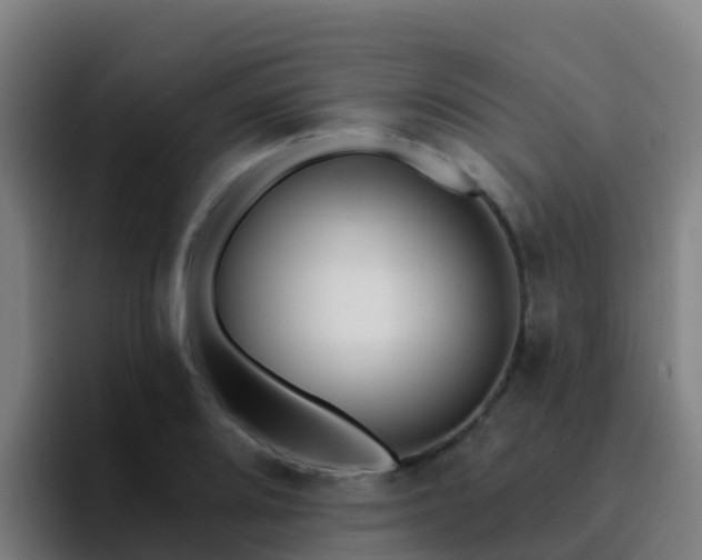 X0000094921080200712061104