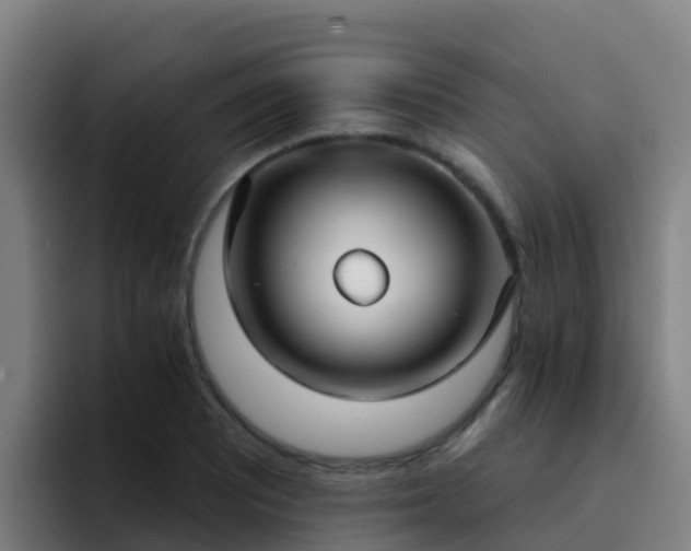 X0000094921081200712061104