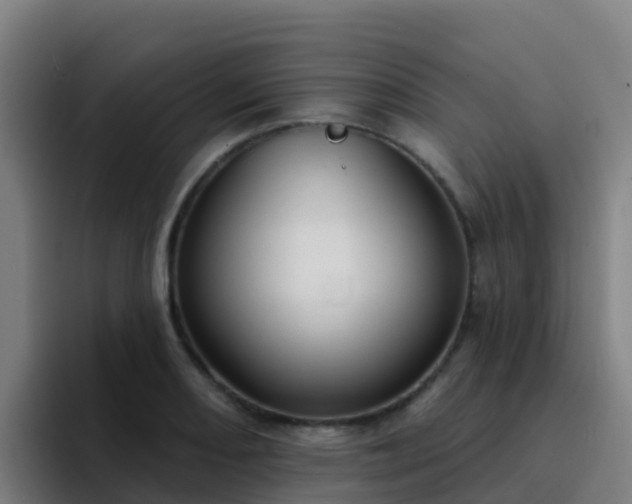 X0000094921082200712061104