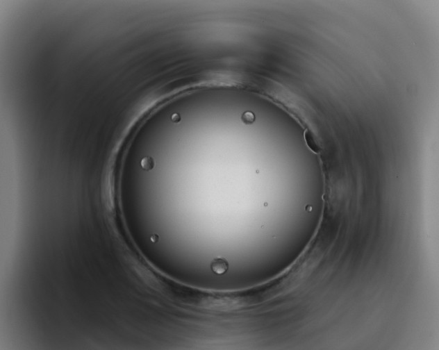 X0000094921083200712061104