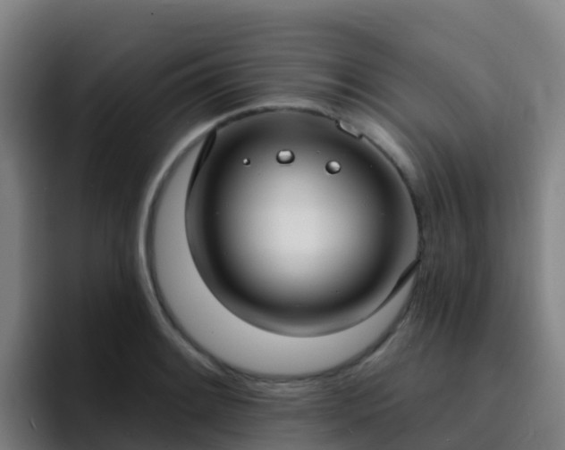 X0000094921084200712061104