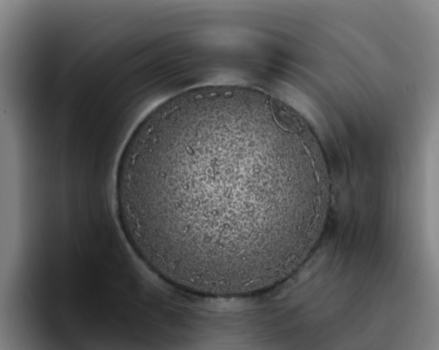 X0000094921087200712061104