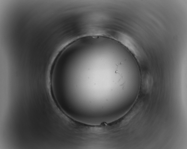 X0000094921088200712061104