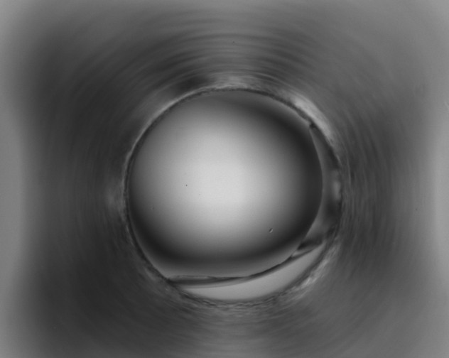 X0000094921089200712061104