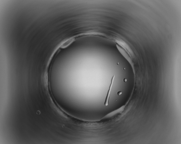 X0000094921092200712061104