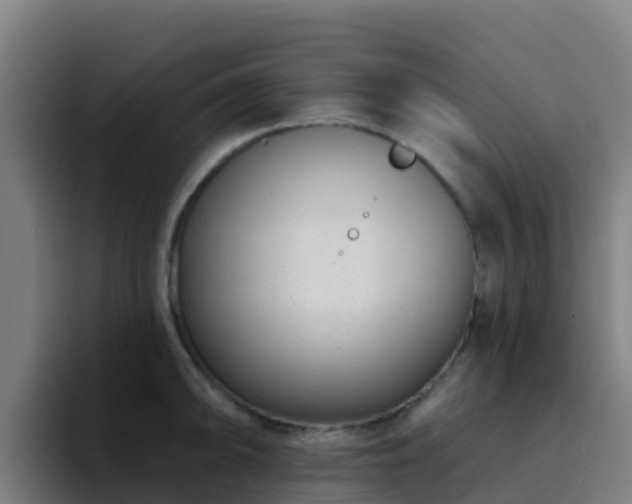 X0000094921094200712061104