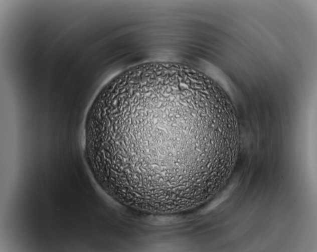 X0000094921095200712061104