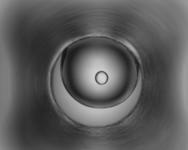 X0000094921096200712061104