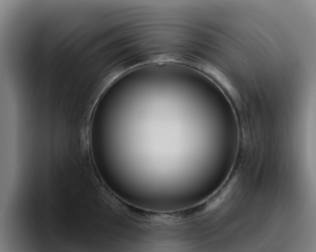 X0000094921097200712061104