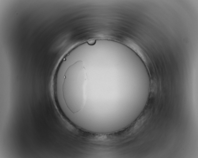 X0000094921098200712061104