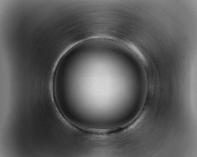 X0000094921100200712061104