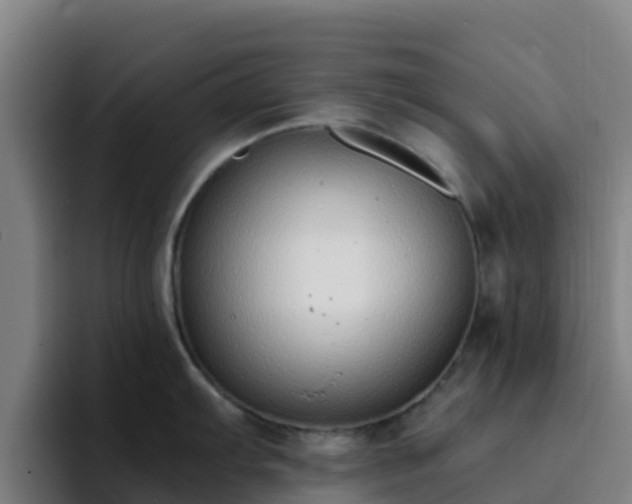 X0000094921103200712061104